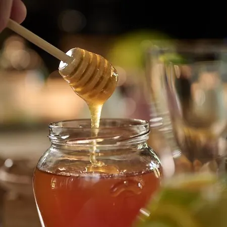 Triangel Boutique Hotel Kranjska Gora