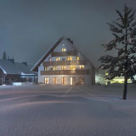 Hotel Triangel Boutique 4*