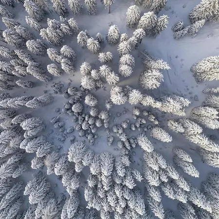 Triangel Boutique Hotel Kranjska Gora