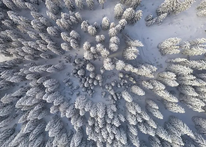 Triangel Boutique Hotel Kranjska Gora